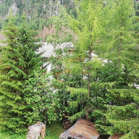 Cesa Pier Sellaronda Dolomiti Lejlighed Campitello di Fassa Eksteriør billede
