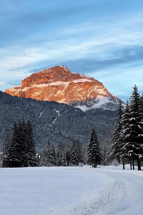 Cesa Pier Sellaronda Dolomiti Lejlighed Campitello di Fassa Eksteriør billede